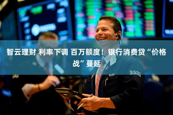 智云理财 利率下调 百万额度！银行消费贷“价格战”蔓延