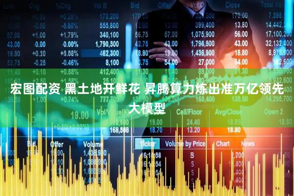 宏图配资 黑土地开鲜花 昇腾算力炼出准万亿领先大模型