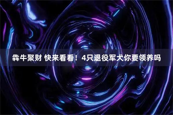 犇牛聚财 快来看看！4只退役军犬你要领养吗