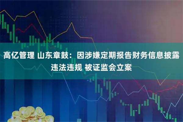 高亿管理 山东章鼓：因涉嫌定期报告财务信息披露违法违规 被证监会立案