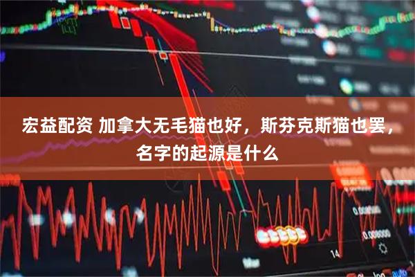 宏益配资 加拿大无毛猫也好，斯芬克斯猫也罢，名字的起源是什么